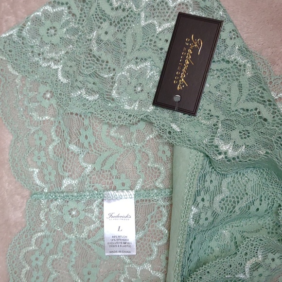 ASHLYNN ALLOVE Lace Hipster in Color - Hemlock - Picture 12 of 13